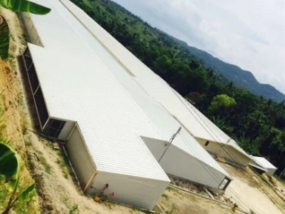 Prefabricated Industrial Galvanized Steel Structure Construction Building Corrosion Resisting Poultry House