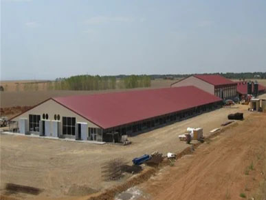 Prefabricated Industrial Galvanized Steel Structure Construction Building Corrosion Resisting Poultry House