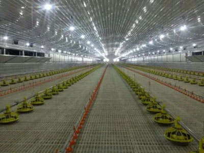 Good Price Prefabricated/ Prefab Light Steel Frame Construction Structure Modular Design Frame Chicken Poultry Farm House