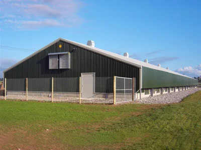 Good Price Prefabricated/ Prefab Light Steel Frame Construction Structure Modular Design Frame Chicken Poultry Farm House