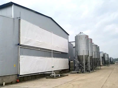 Angola Chicken Farm Poultry House (BYPH-220610009)