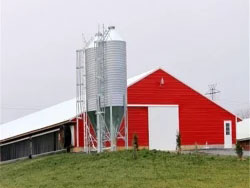 Angola Chicken Farm Poultry House (BYPH-220610009)