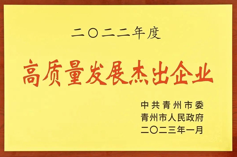 Good news ‖Shandong Useen Holding Group won the commendation at the annual mobilization meeting for high-quality development breakthroughs of enterprises in the city