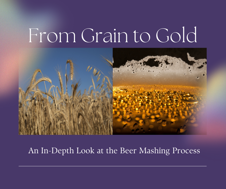 Du grain à l'or : un regard approfondi sur le processus de brassage de la bière