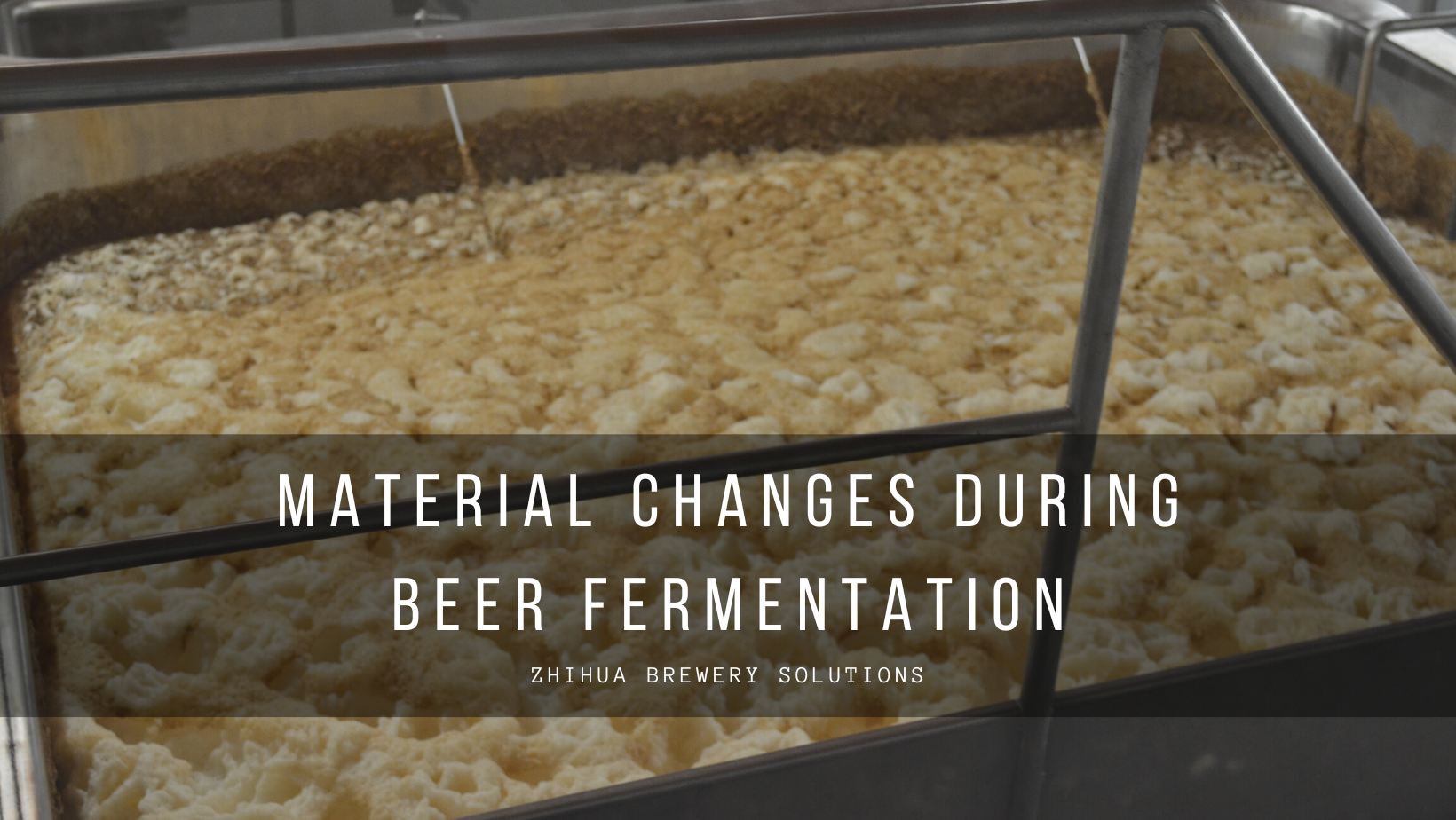 Changements de matière pendant la fermentation de la bière