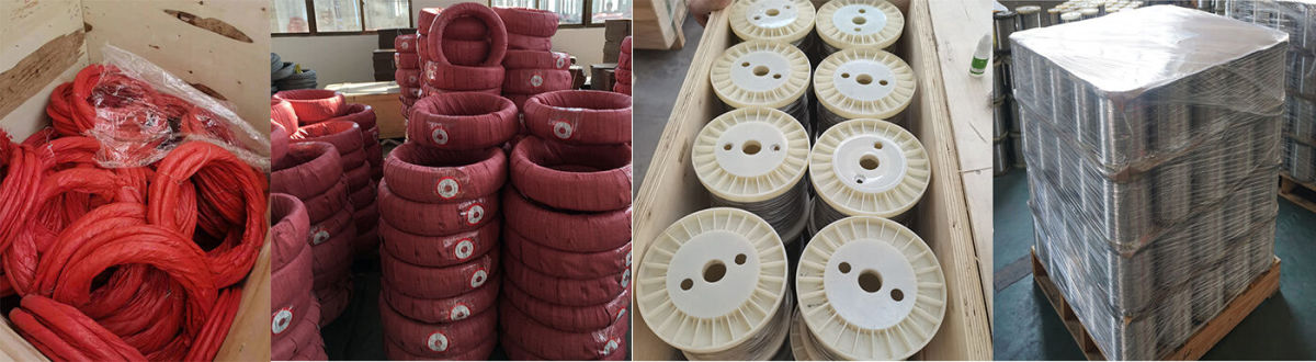 Stainless Steel Wire.jpg