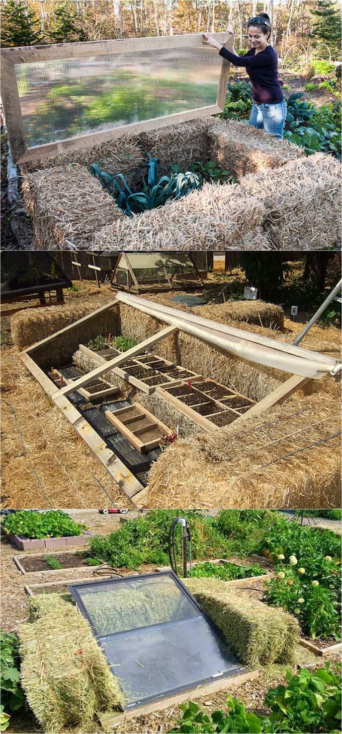 BALE-COLD-FRAME.png