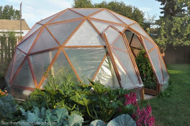 geodome-greenhouse.png