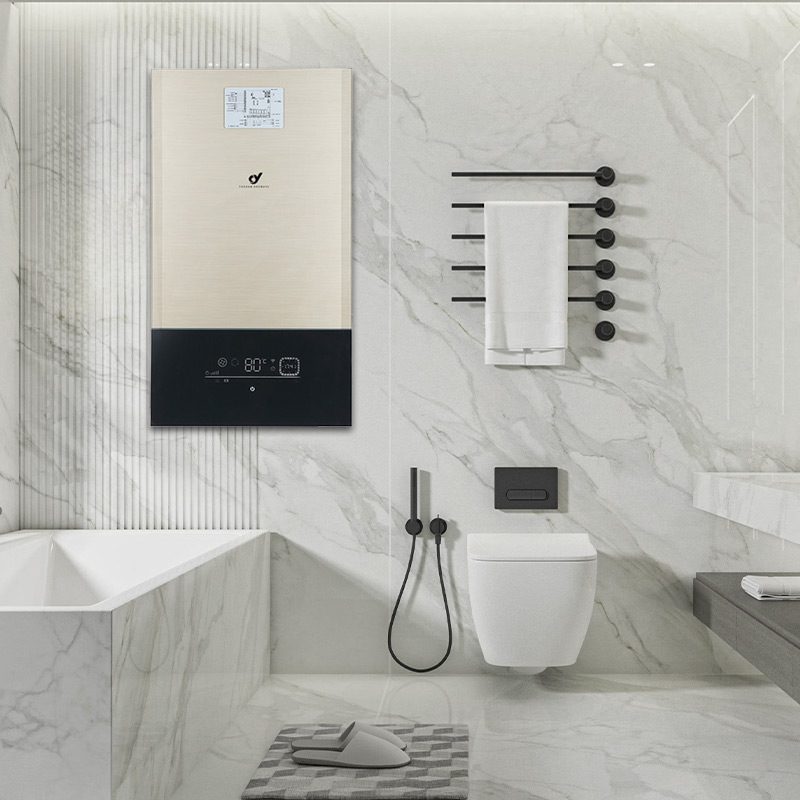 OEM/ODM Exquisite Workmanship Gas Boiler Water Heater Fast Heating Gas Boiler for Residential Hot Water Supply