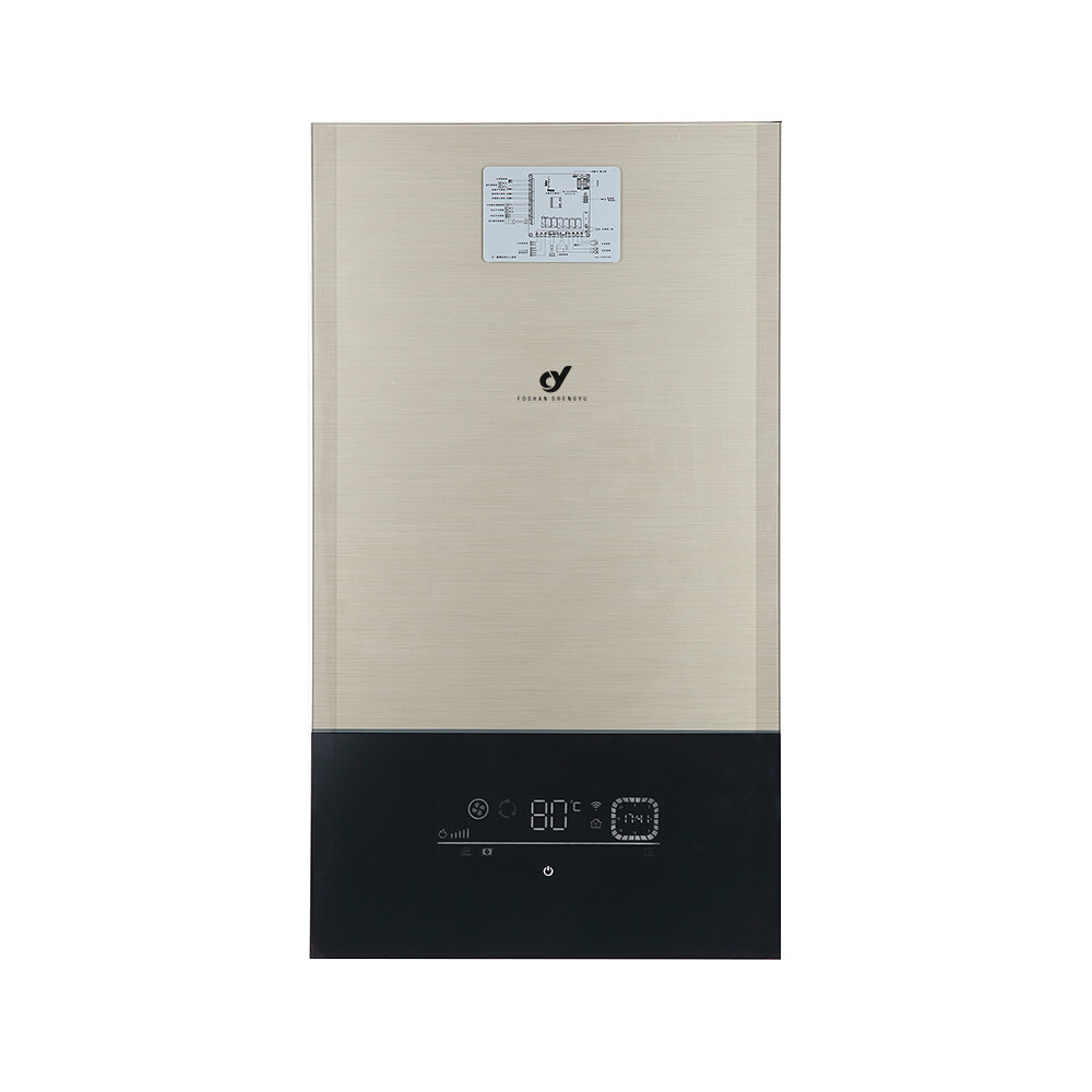 OEM/ODM Exquisite Workmanship Gas Boiler Water Heater Fast Heating Gas Boiler for Residential Hot Water Supply