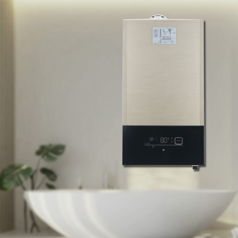 2025 Newest Popular Gas Boiler 24KW 30KW 36KW Gas Wall-hung Boiler for Home Heating and Hot Water