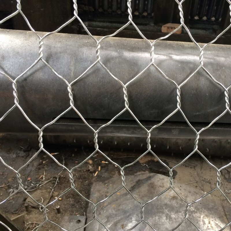 Holland Wire Mesh
