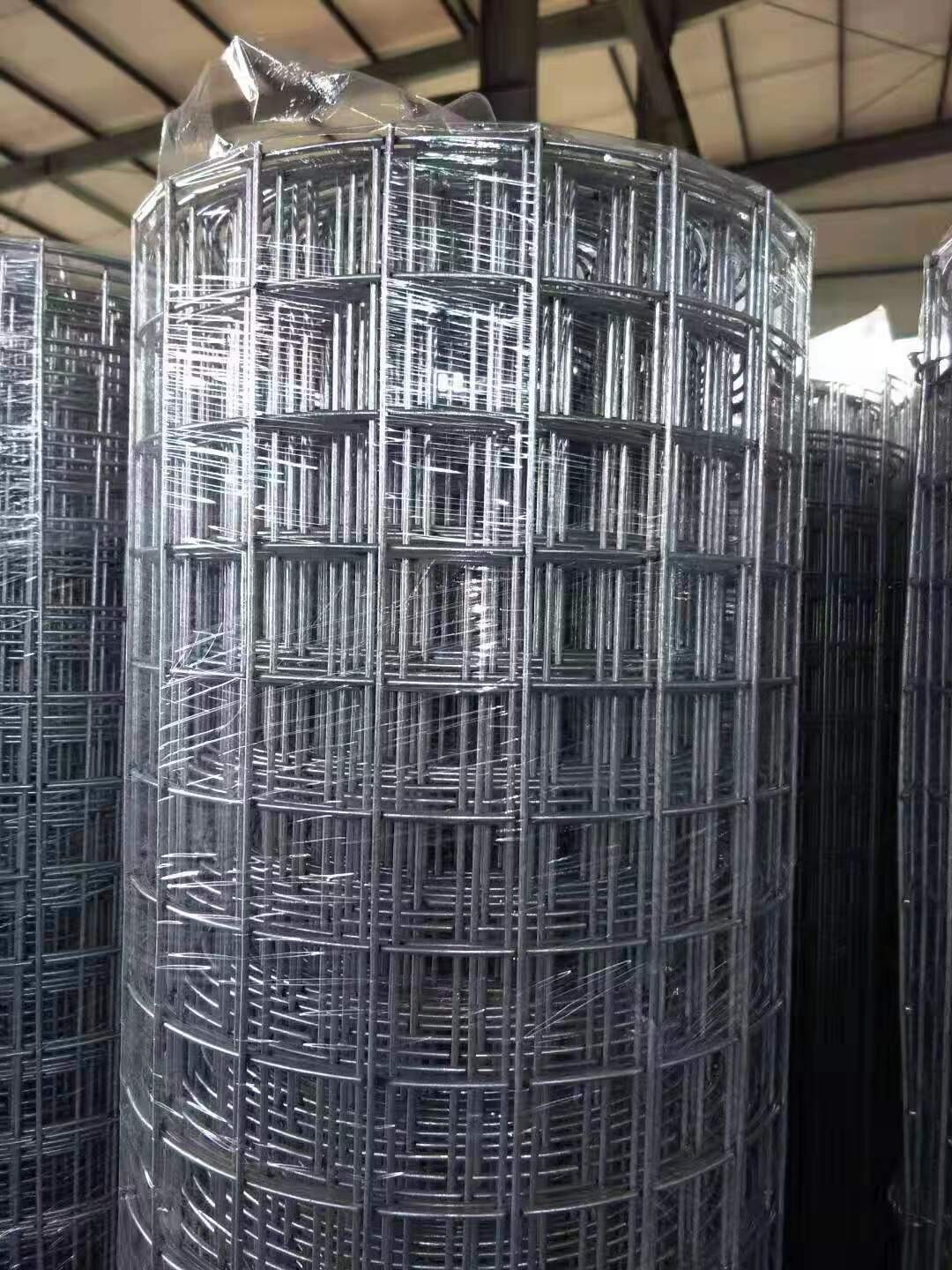 Hot-Dipped Wire Mesh