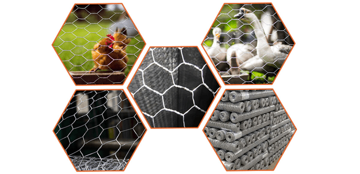 Hexagonal Wire Mesh4.jpg