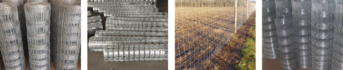 Field Fence1.jpg Field Fence1.jpg