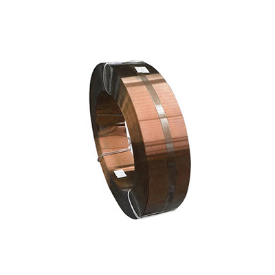 Stainless steel strips 304