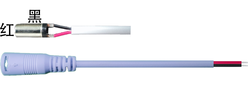 DC5521 male and female head