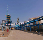 Shandong Wanling Chemical se estableció en 2009