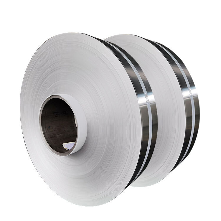 Stainless Steel Strip