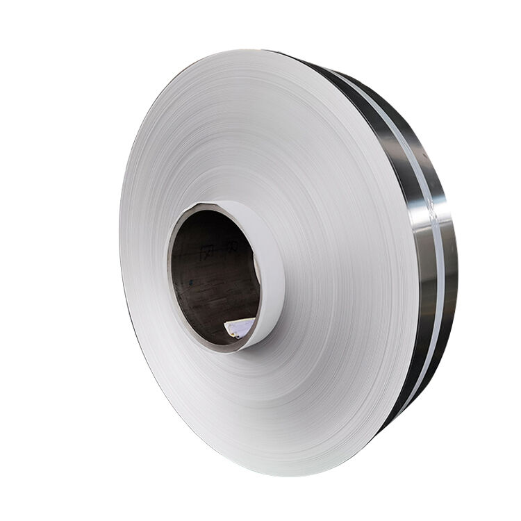 Stainless Steel Strip