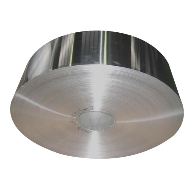 Stainless Steel Strip