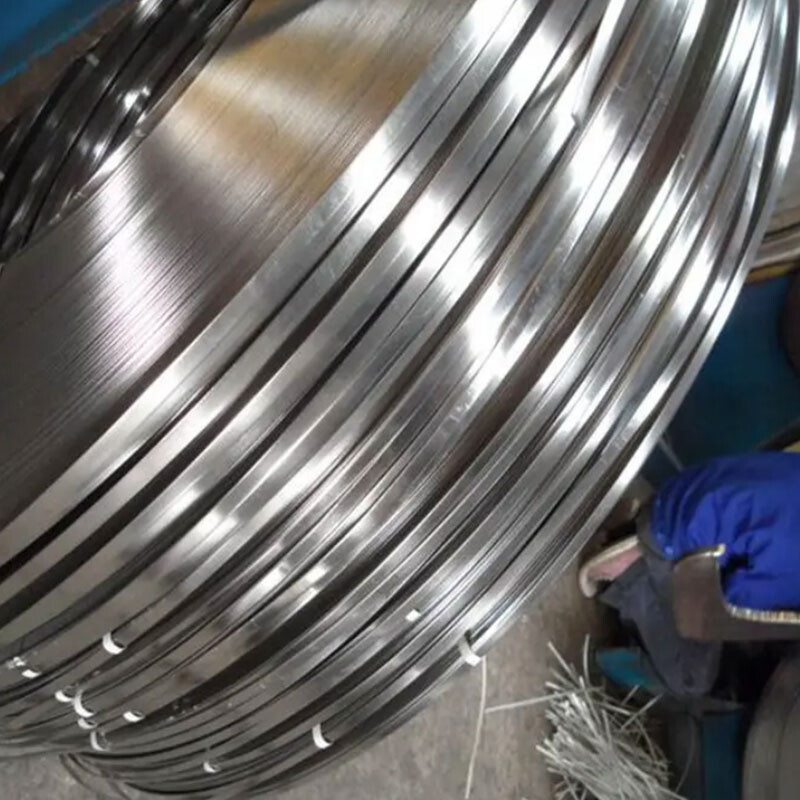 Stainless Steel Strip