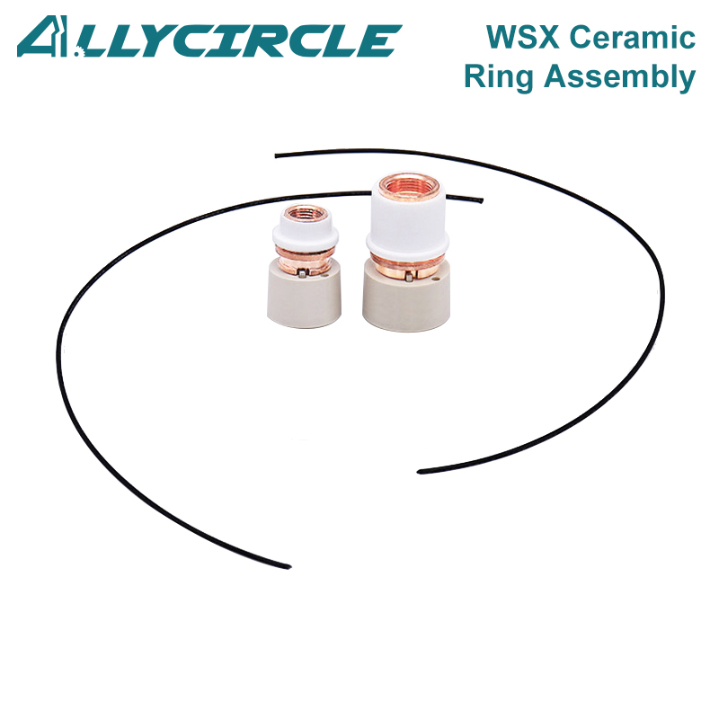 WSX Ceramic Ring Assembly