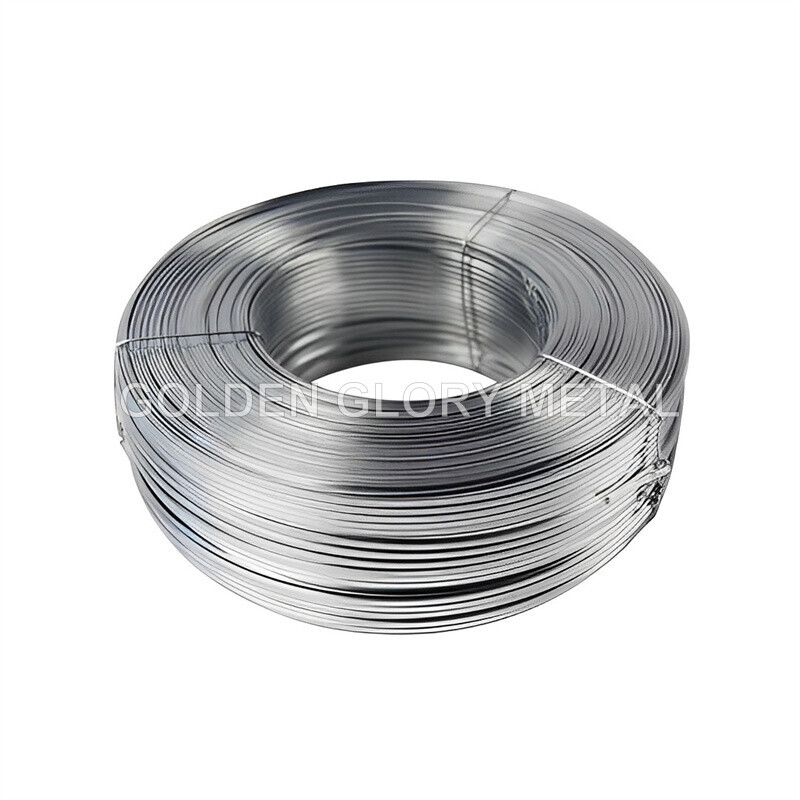 Best Quality Iron Wire Galvanized Binding Wire Competitive Price BWG20 21 22 Galvanized Steel Wires