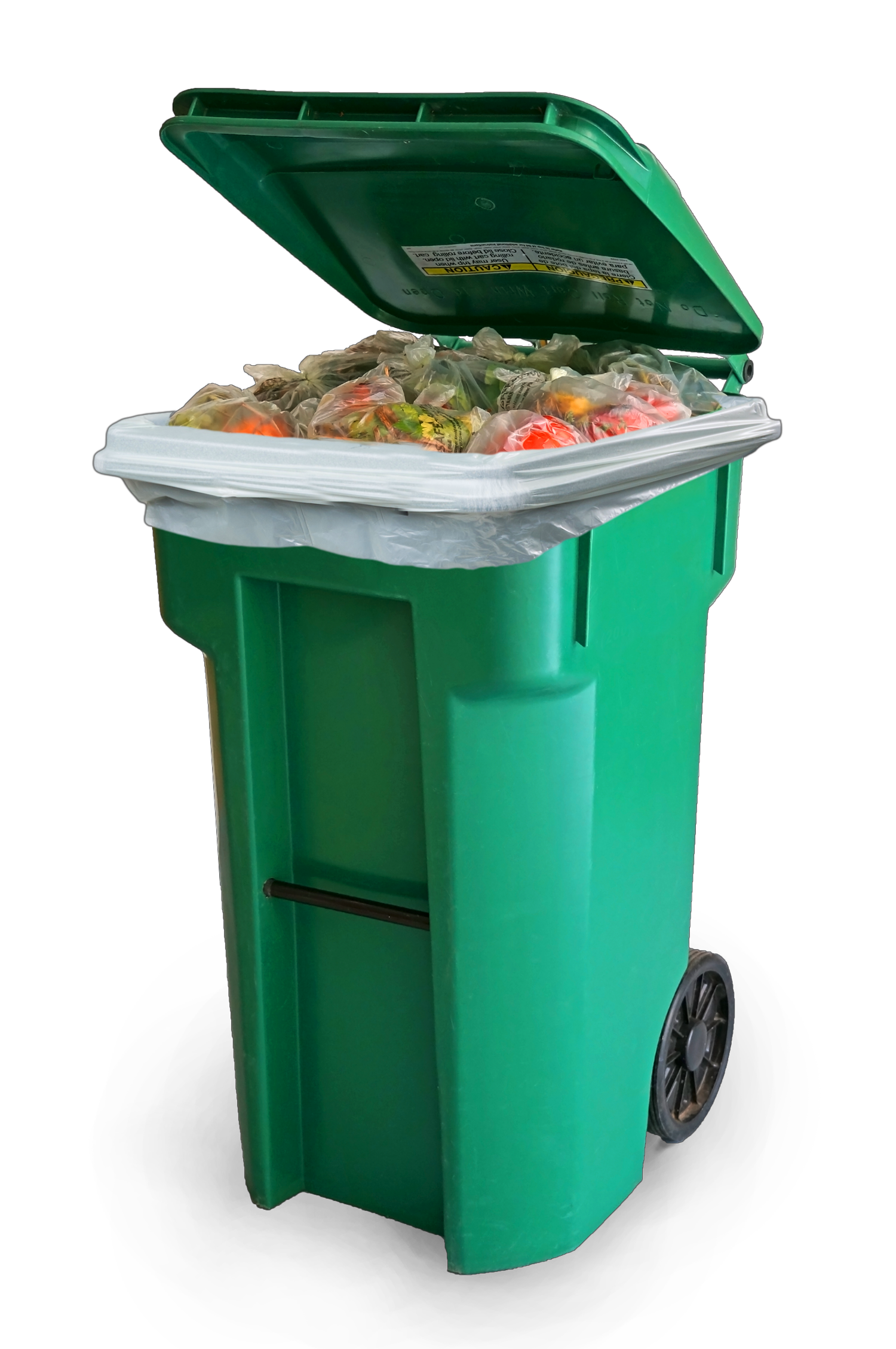 biodegradable plastic bags