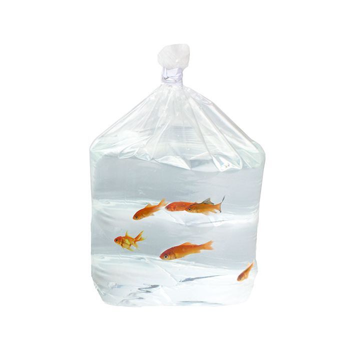 Tropical Fish Bags  Fish Transport Bags