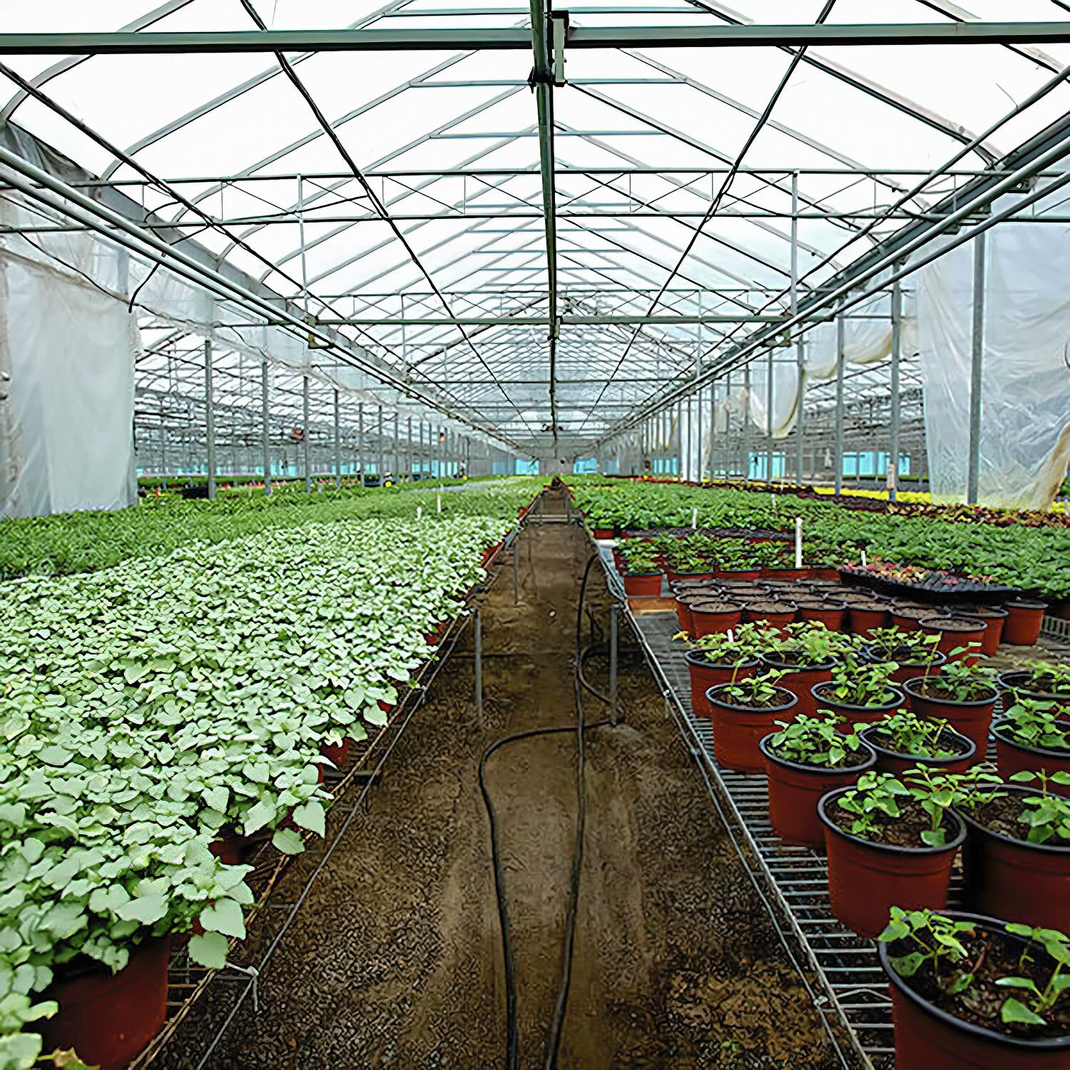 Agriculture Plastic Film