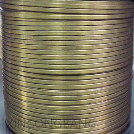 C52100 Phosphor Bronze 