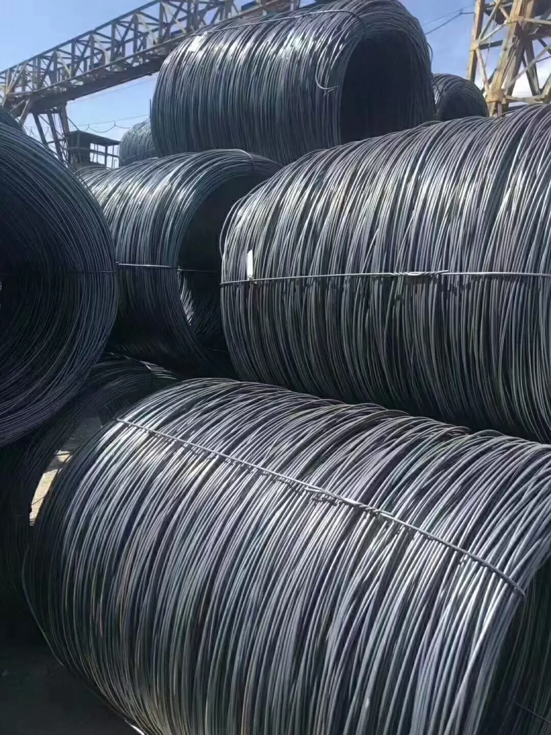 Carbon Steel Wire Rod