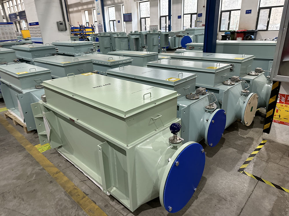 Ballast Water Management System