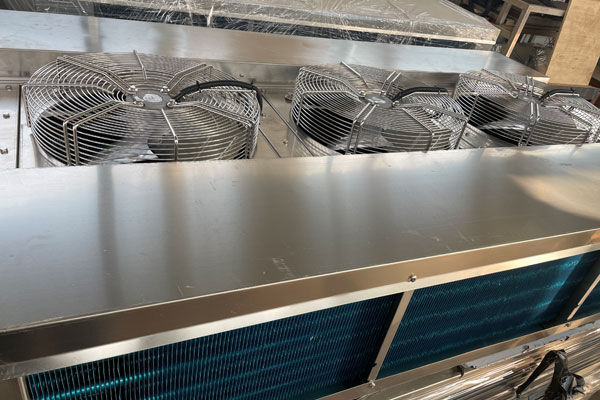 Double outlet air cooler