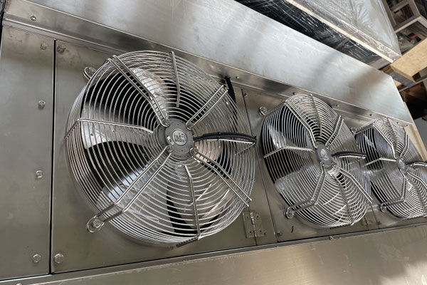 Double outlet air cooler