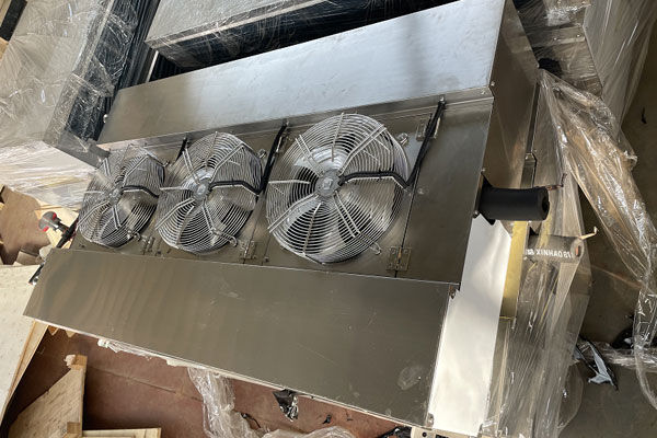 Double outlet air cooler