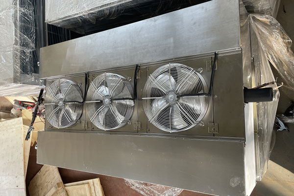 Double outlet air cooler