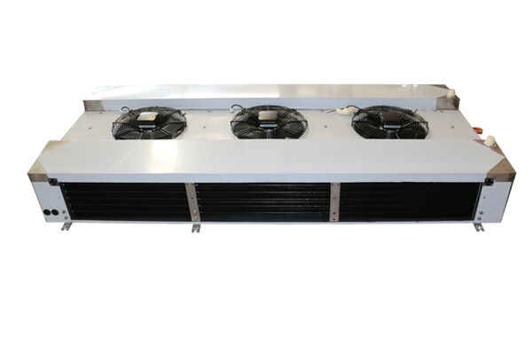 Double outlet air cooler