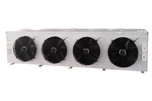 Double outlet air cooler