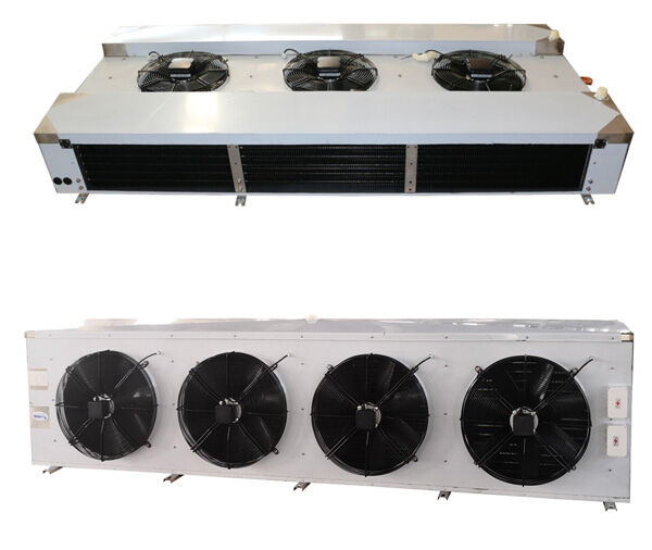 Double outlet air cooler