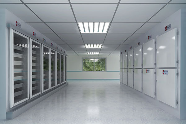 Cold storage project