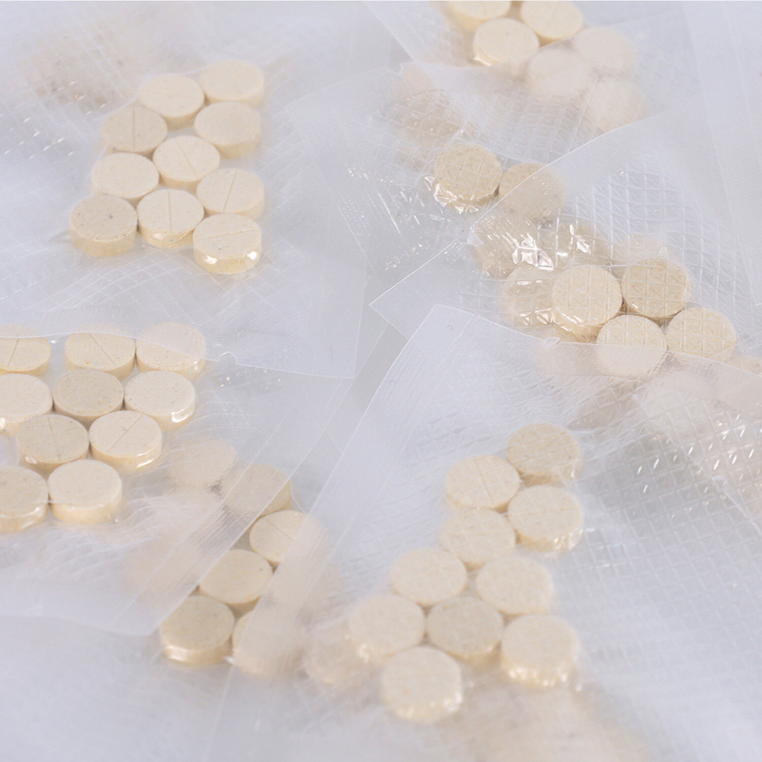 GS441524 Oral Tablet for cat fipv