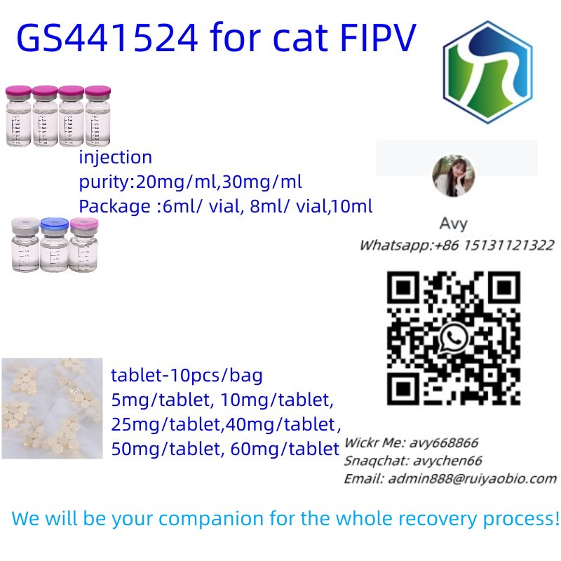GS441524 Oral Tablet for cat fipv
