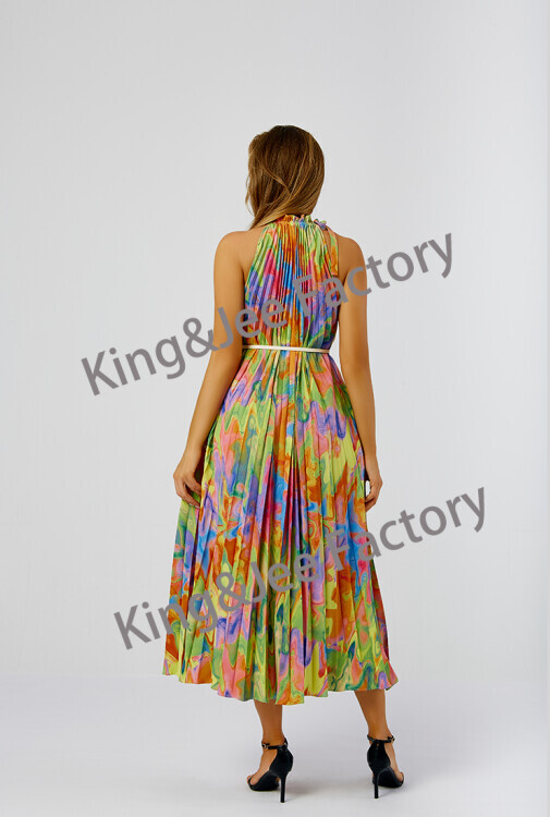 2024 New Printed Dress