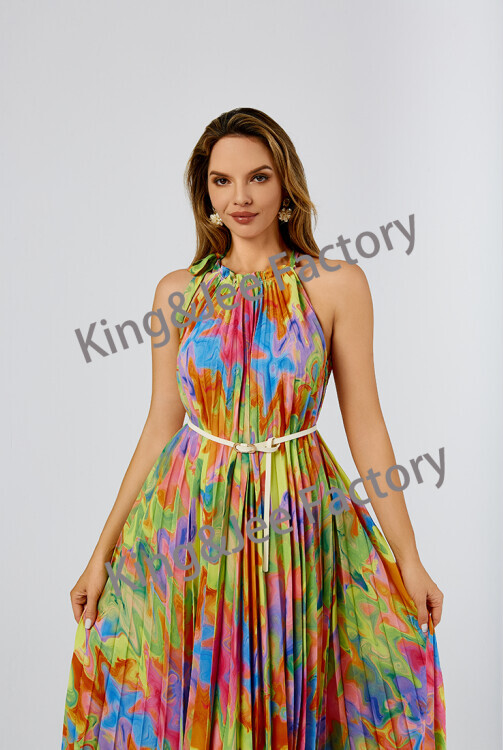 2024 New Printed Dress