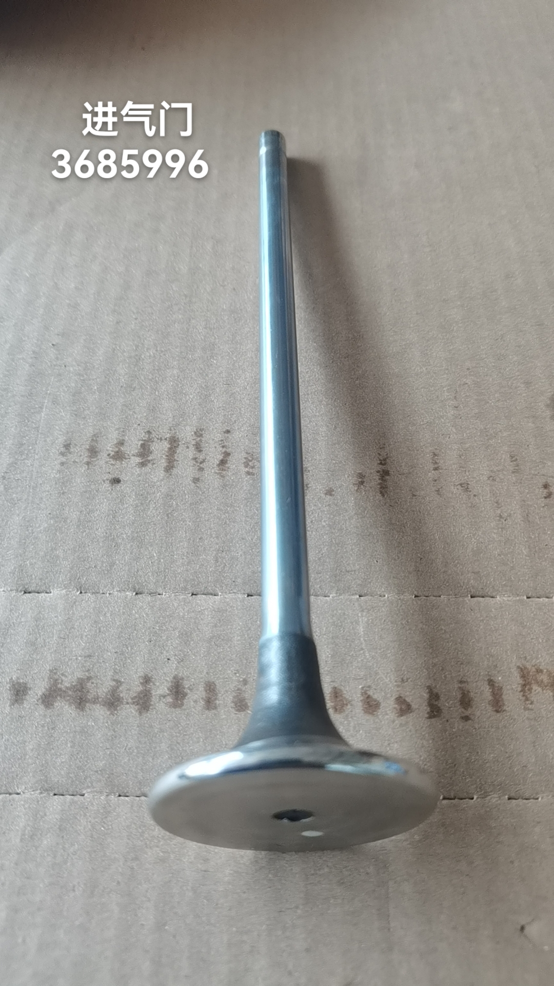 American Cummins Genuine Construction Machinery Spare Parts 3685996 Valve,Intake 