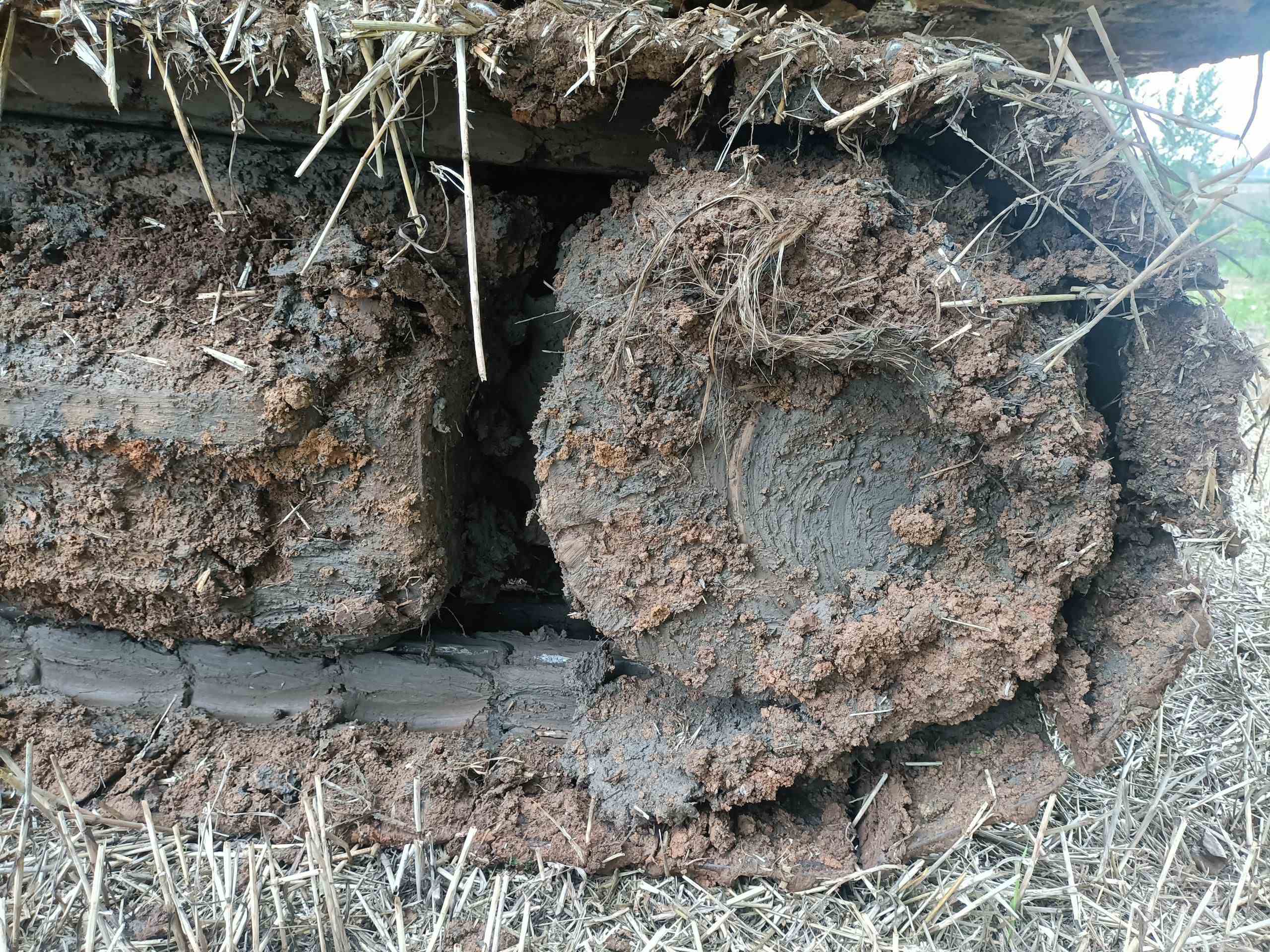 CAT 320D GC   Excavator