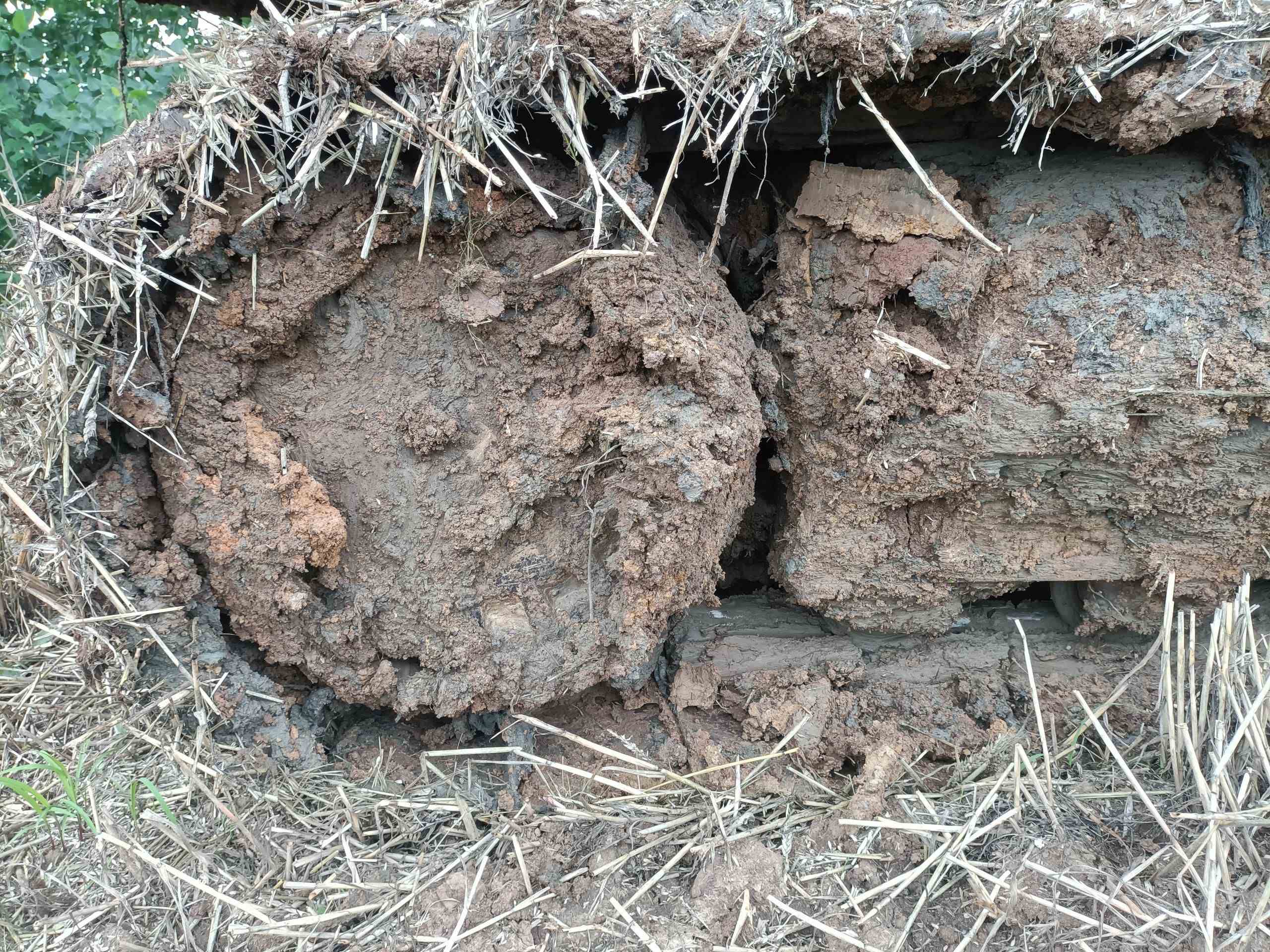 CAT 320D GC   Excavator