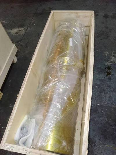 جذر HP5 N98000545